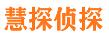 陵县市侦探公司